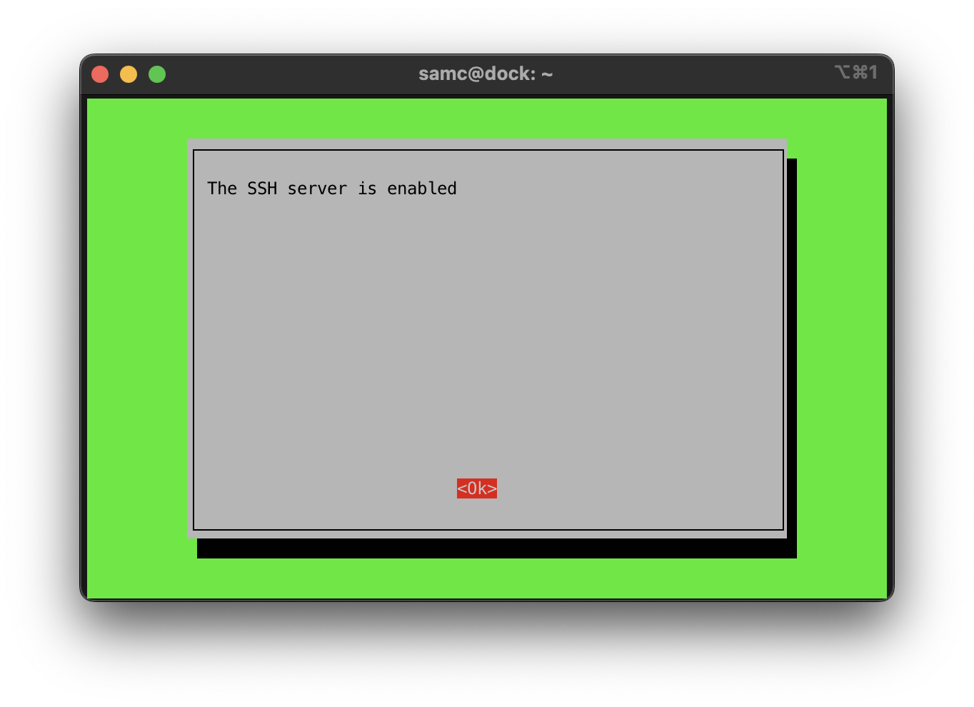 Raspberry Pi OS command 'raspi-config' showing SSH successfully enabled.